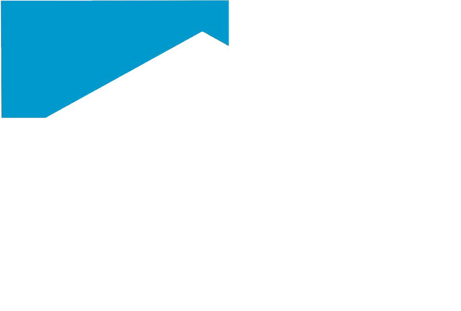 The Home Inspector Inc.